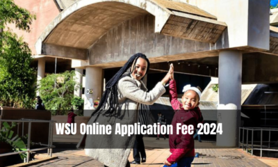 WSU Online Application Fee 2024