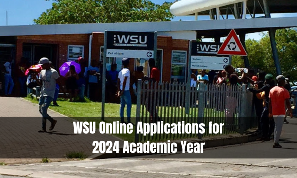 WSU Online Applications for 2024 Academic Year