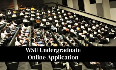 WSU Undergraduate Online Application 2027: Complete Step by Step Guide