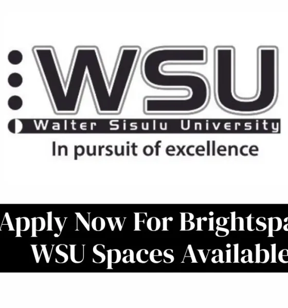 Apply Now For Brightspace WSU Spaces Available: Complete Guide