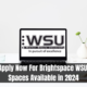 Apply Now For Brightspace WSU Spaces Available in 2024