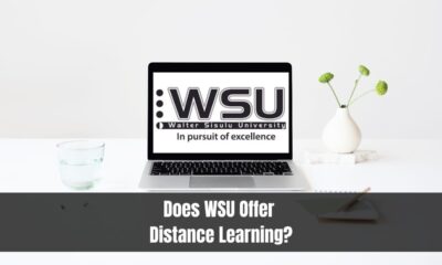 Does WSU Offer Distance Learning?