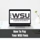 How To Pay Your WSU Fees