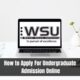 How to Apply For Undergraduate Admission Online