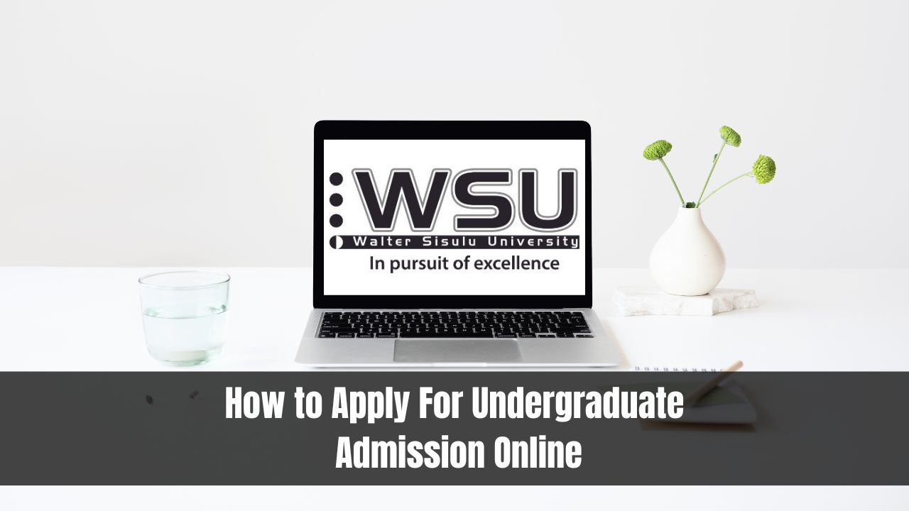 How to Apply For Undergraduate Admission Online