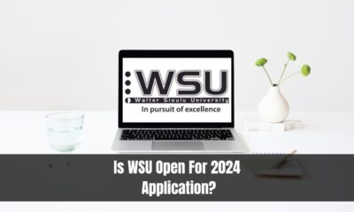 Is WSU Open For 2024 Application?