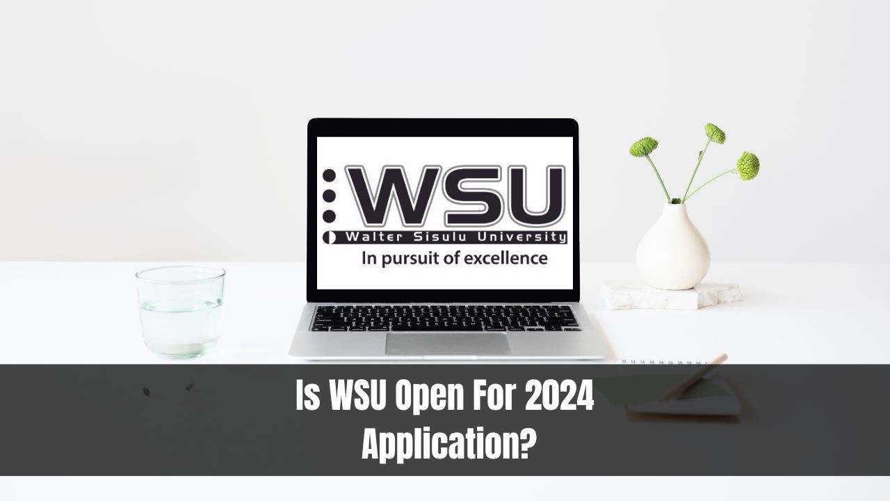 Is WSU Open For 2024 Application?