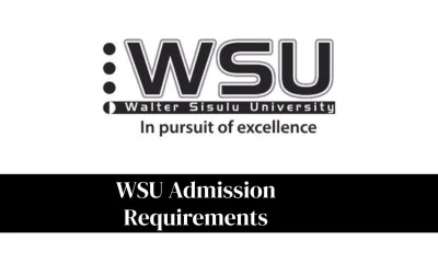 WSU Admission Requirements 2027: Complete Guide for Students