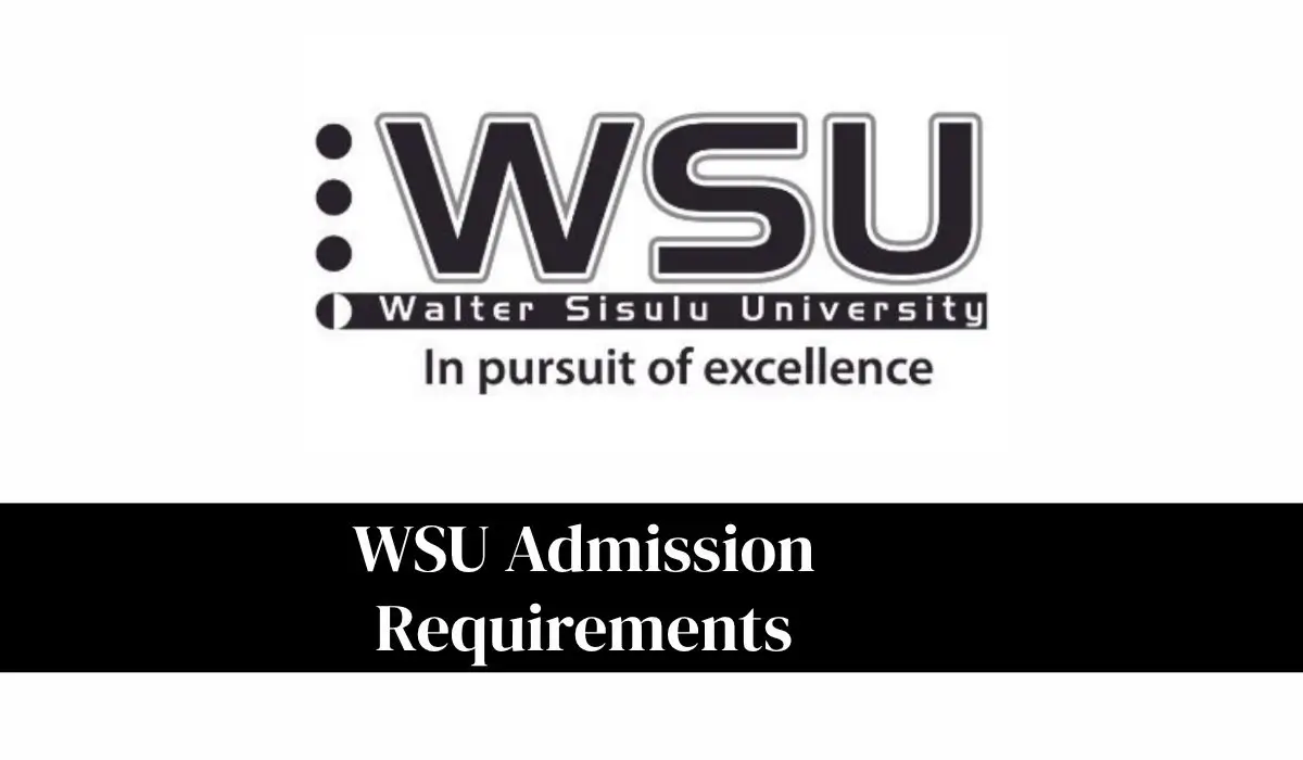 WSU Admission Requirements 2027: Complete Guide for Students