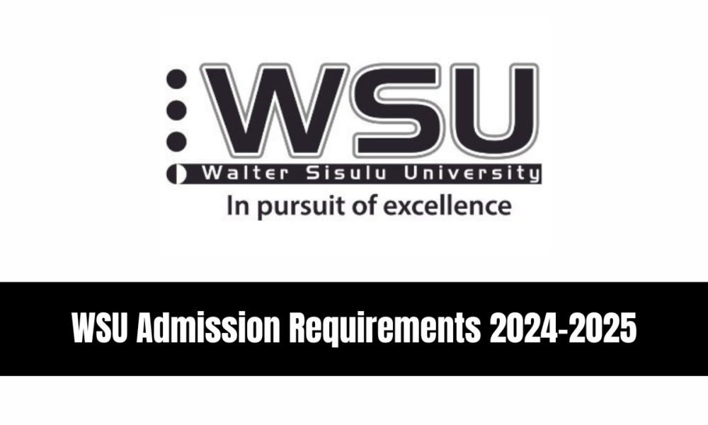 WSU Admission Requirements 20242025