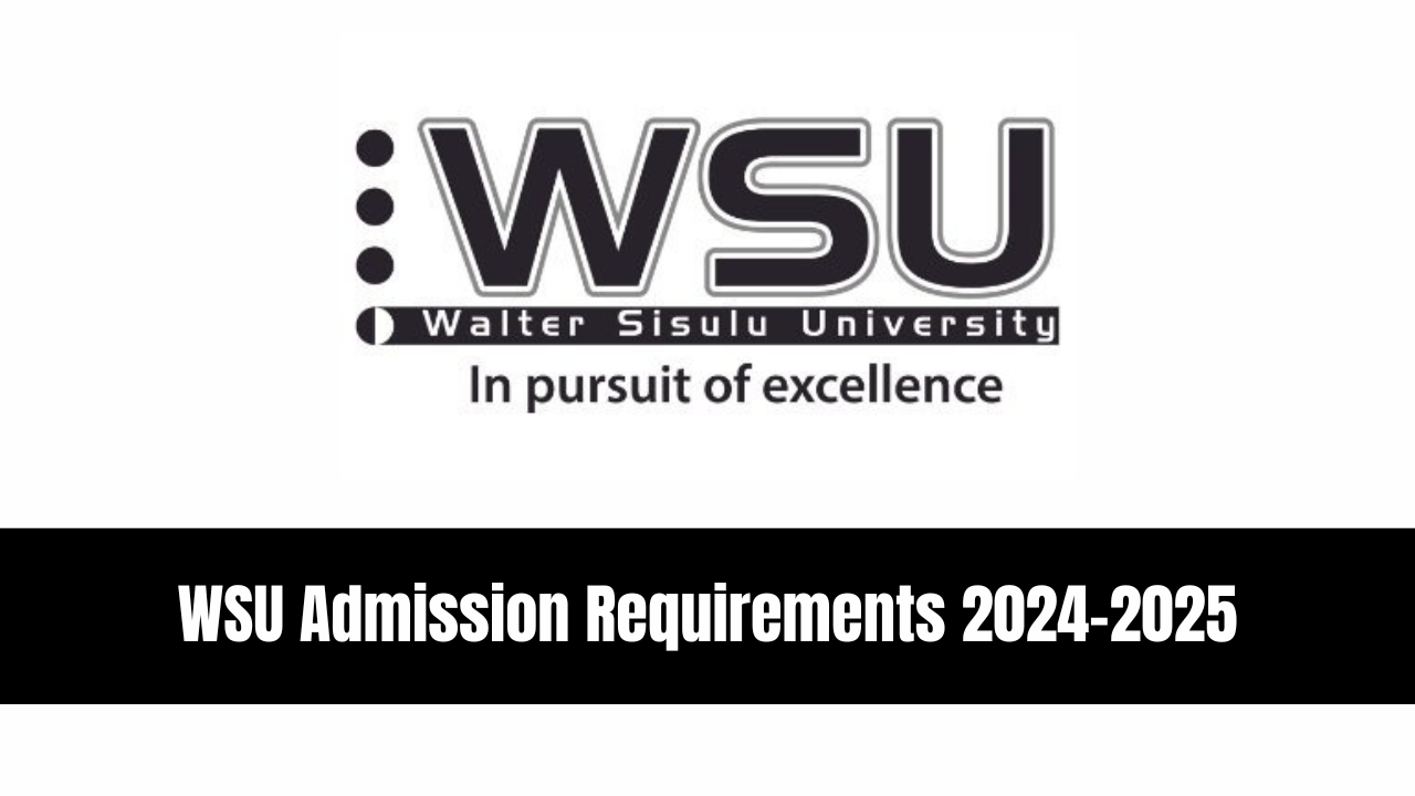 WSU Admission Requirements 20242025