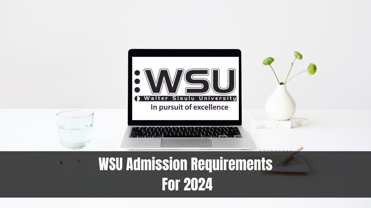 WSU Admission Requirements For 2024 