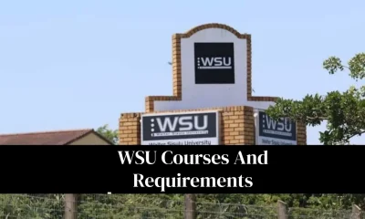 WSU Courses And Requirements 2027: Complete Program List And Admission Guide