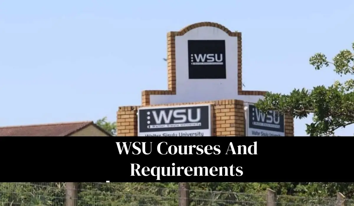 WSU Courses And Requirements 2027: Complete Program List And Admission Guide