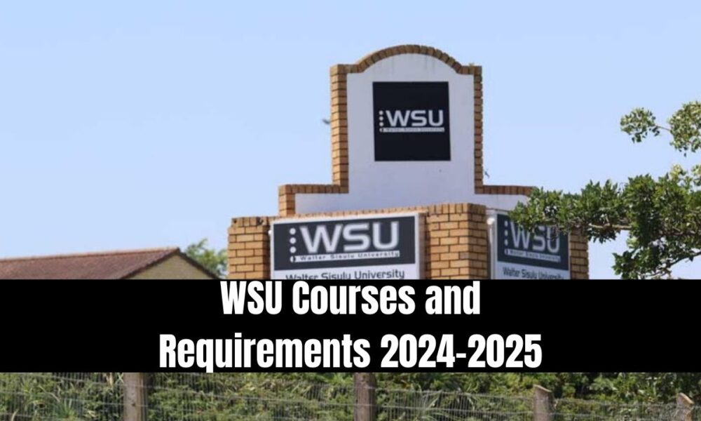 WSU Courses And Requirements 2024 2025 1000x600 
