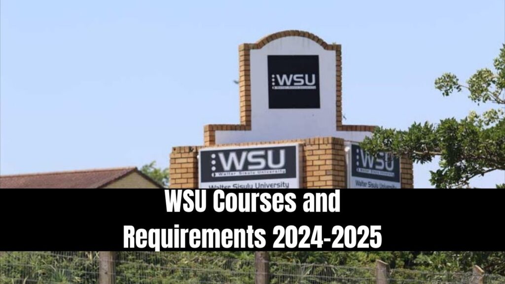 WSU Courses And Requirements 2024 2025 1024x576 
