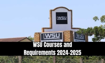 WSU Courses and Requirements 2024-2025