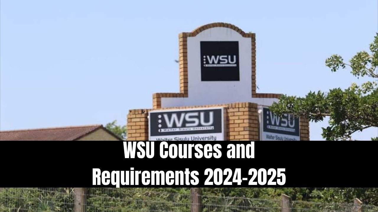 WSU Courses and Requirements 20242025
