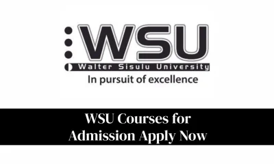WSU Courses for Admission Apply Now: Complete Guide
