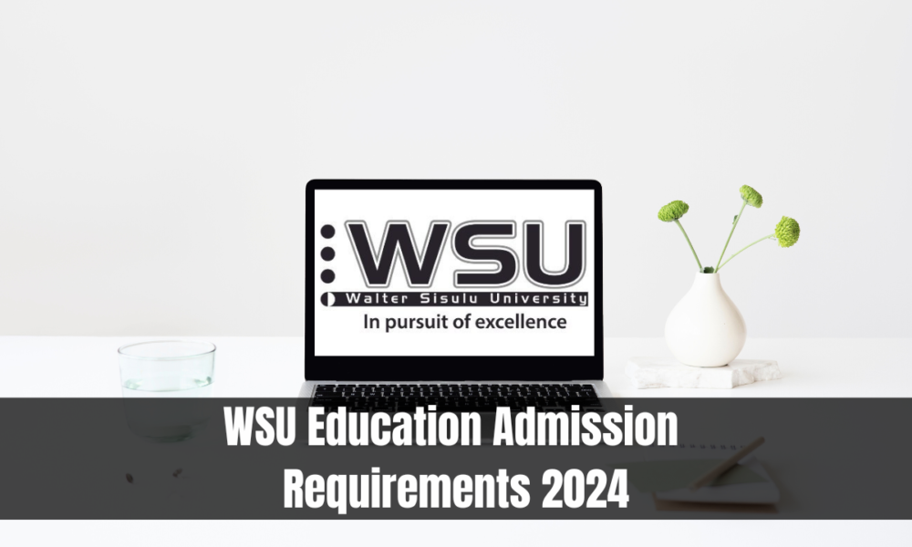 WSU Education Admission Requirements 2024