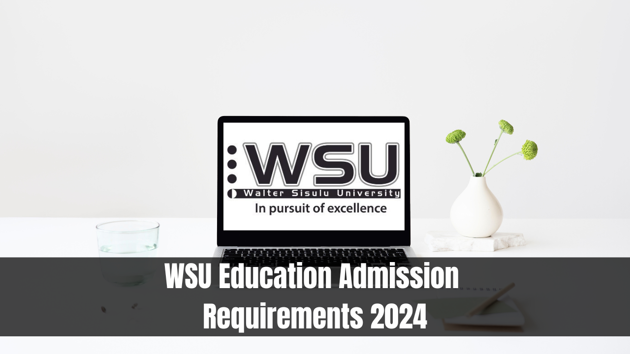 WSU Education Admission Requirements 2024