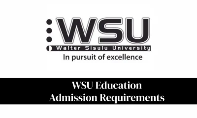 WSU Education Admission Requirements 2027: Complete Guide To Requirements And Online