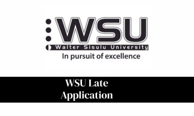 WSU Late Application: How to Apply, Requirements and Closing Date