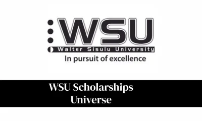 WSU Scholarships Universe: A Complete Guide to Finding and Applying for Scholarships