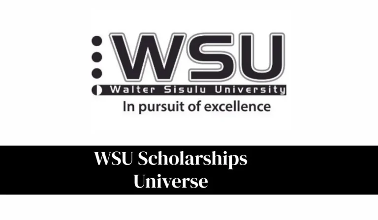 WSU Scholarships Universe: A Complete Guide to Finding and Applying for Scholarships