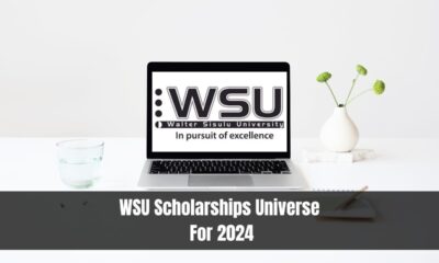 WSU Scholarships Universe For 2024