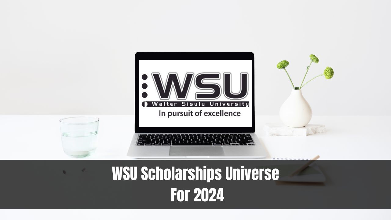 WSU Scholarships Universe For 2024