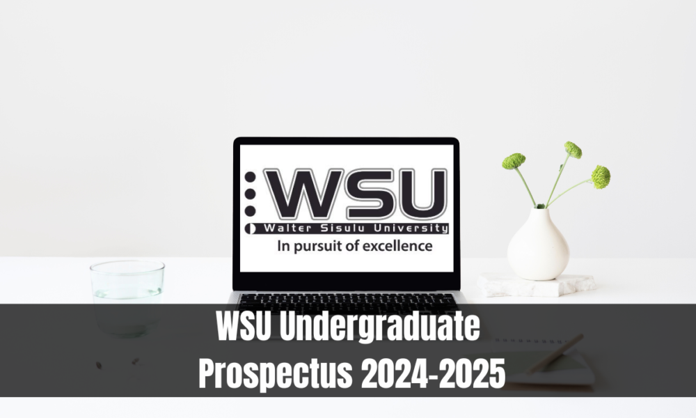 WSU Undergraduate Prospectus 20242025