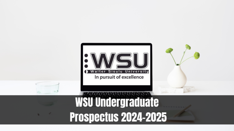 WSU Undergraduate Prospectus 2024 2025   WSU Undergraduate Prospectus 2024 2025 768x432 