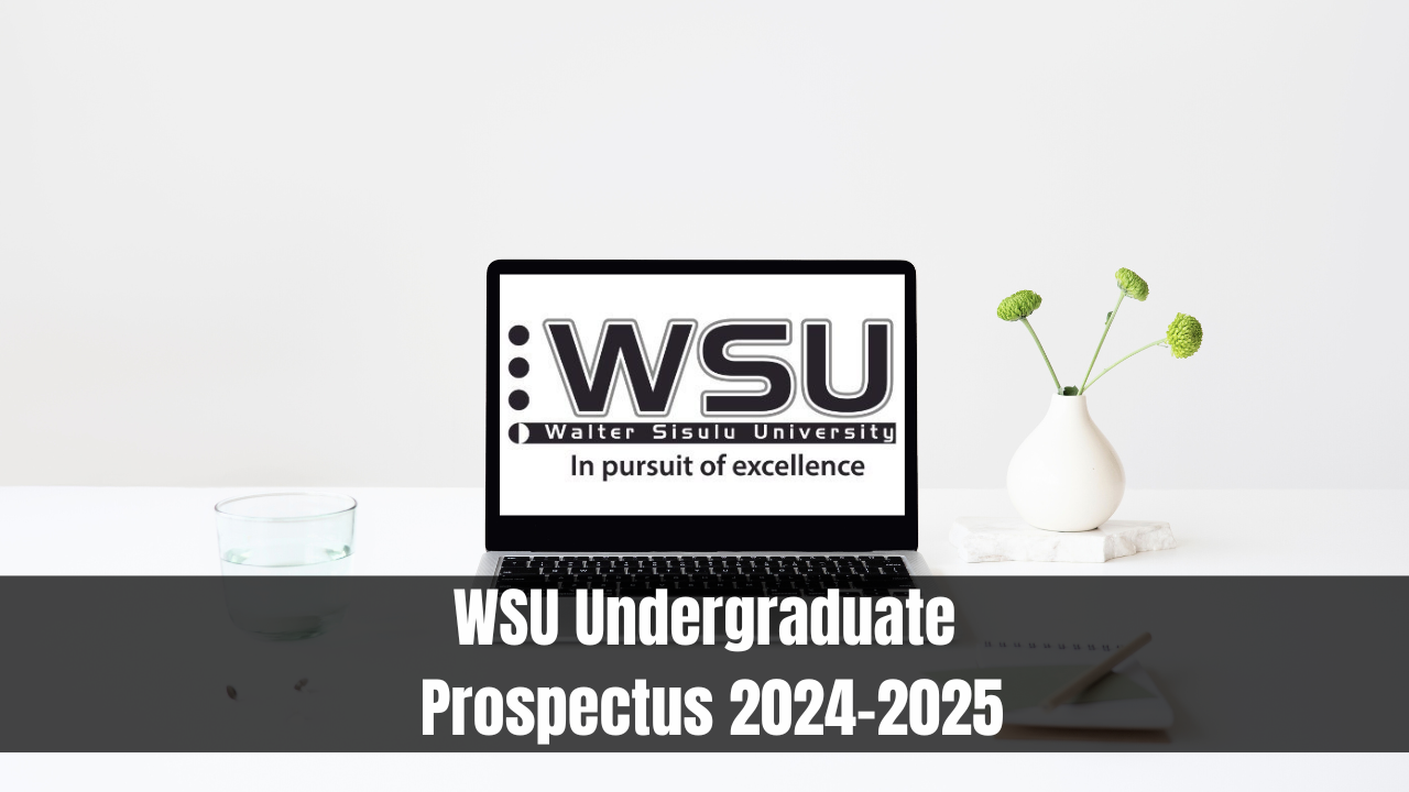 WSU Undergraduate Prospectus 20242025