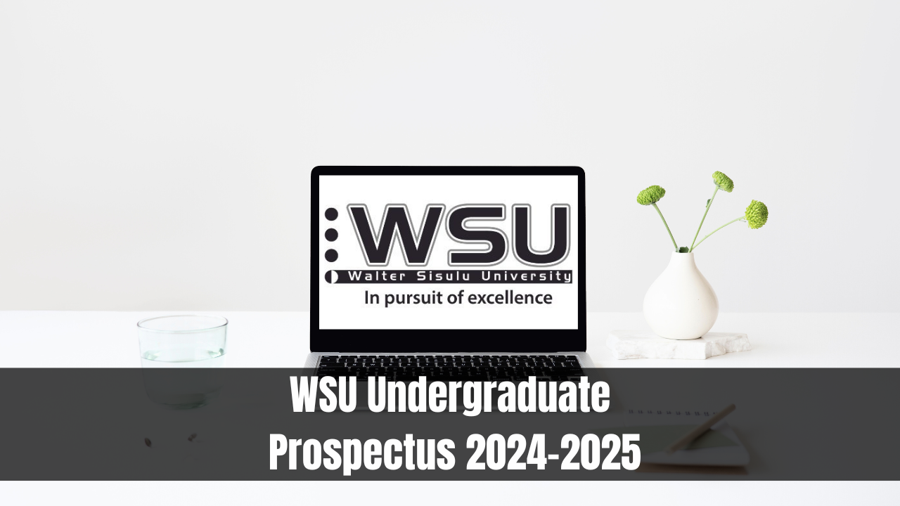 WSU Undergraduate Prospectus 2024-2025