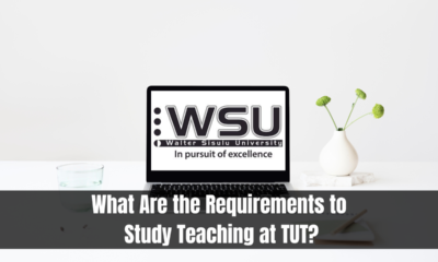 What Are the Requirements to Study Teaching at TUT?