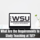 What Are the Requirements to Study Teaching at TUT?