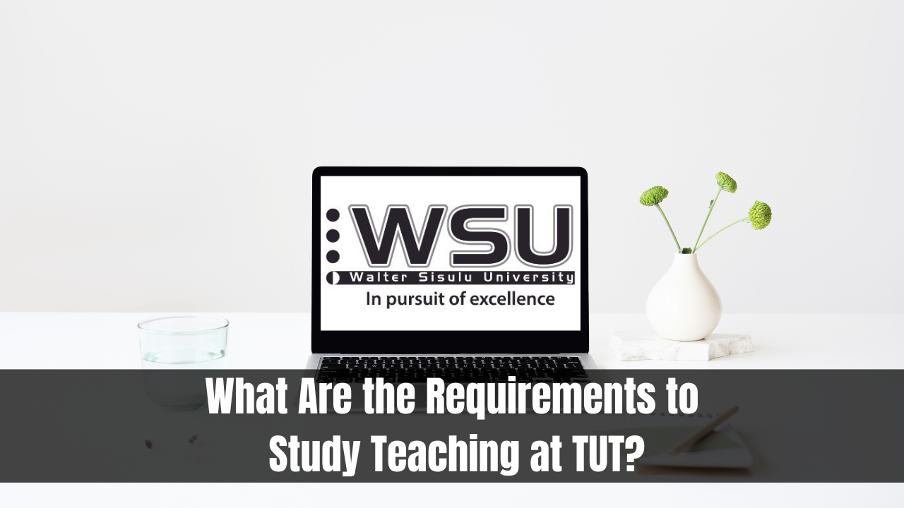 What Are the Requirements to Study Teaching at TUT?