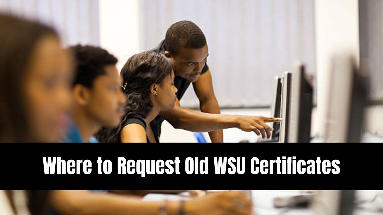 Where to Request Old WSU Certificates