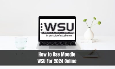 How to Use Moodle WSU For 2024 Online