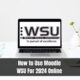 How to Use Moodle WSU For 2024 Online