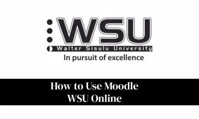How to Use Moodle WSU Online: Complete Guide