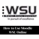 How to Use Moodle WSU Online: Complete Guide