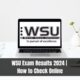 WSU Exam Results 2024 | How to Check Online