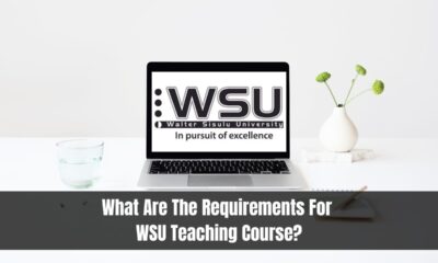 What Are The Requirements For WSU Teaching Course?