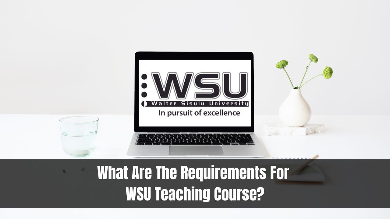 What Are The Requirements For WSU Teaching Course?