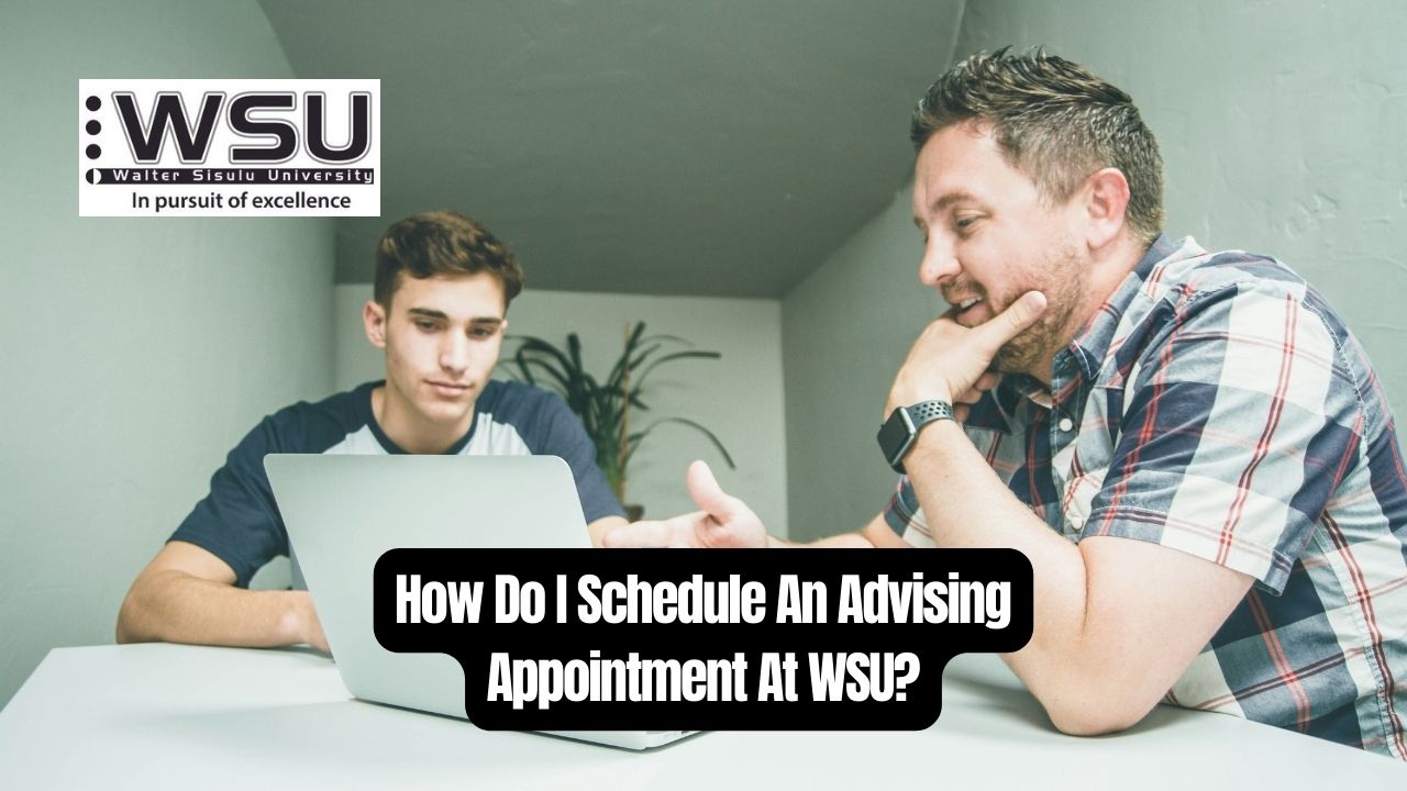 How Do I Schedule An Advising Appointment At WSU?