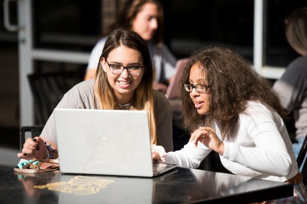 How to Access the WSU Student Portal