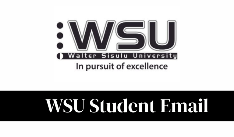 WSU Student Email: Full Guide to Login, Format And Important Tips