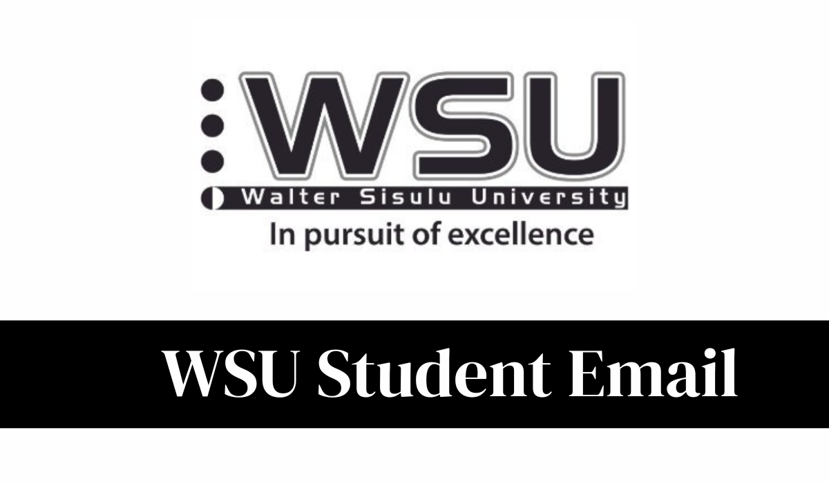 WSU Student Email: Full Guide to Login, Format And Important Tips